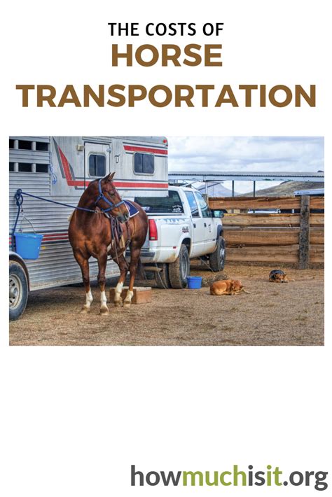 horse transportation cost per mile.